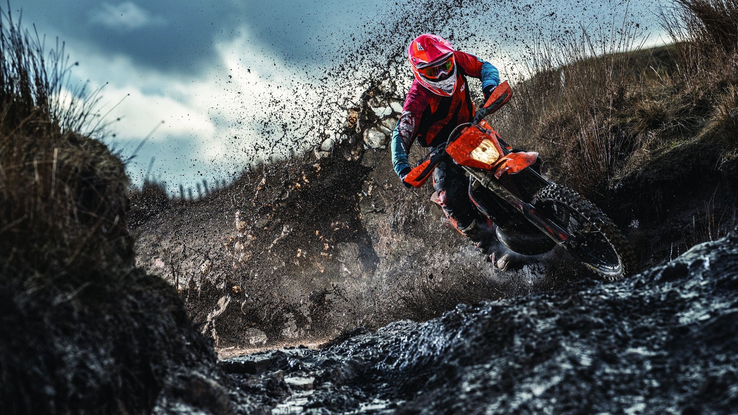 爱游戏娱乐-法拉利内斗葬送冠军,热火绝杀诠释何为团队