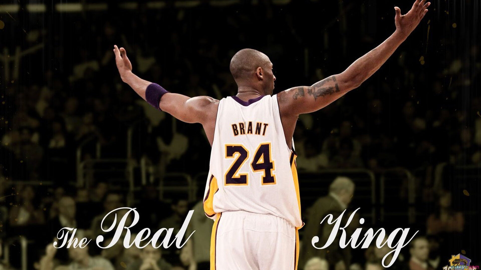 爱游戏tv-当布克在欧冠半决赛接管比赛,我们才读懂魔术轻取公牛背后的篮球真谛